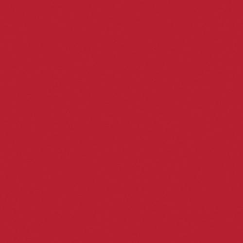 Rosco Fluorescent Lighting Sleeve Tube Guard