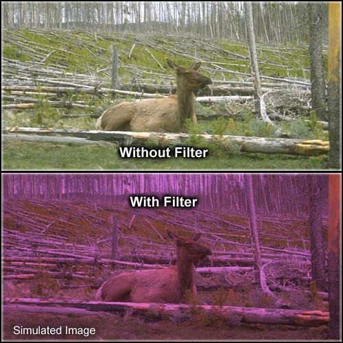 Formatt Hitech 58mm Solid Plum 2 Filter