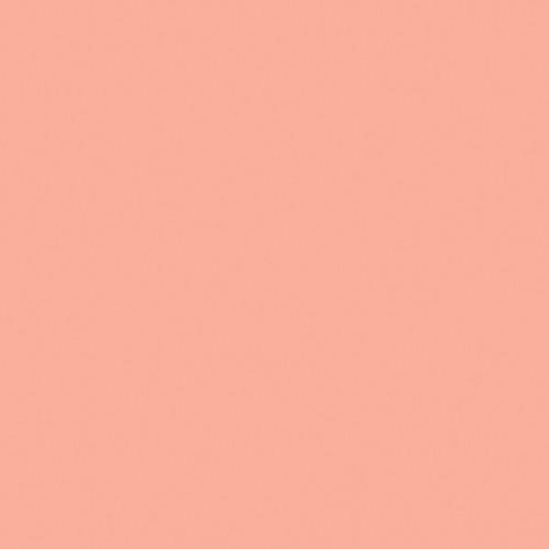 Rosco Fluorescent Lighting Sleeve Tube Guard