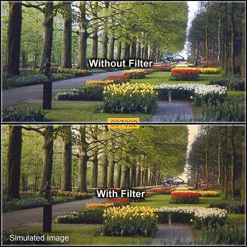 Formatt Hitech 43mm Solid Tangerine 1 Filter