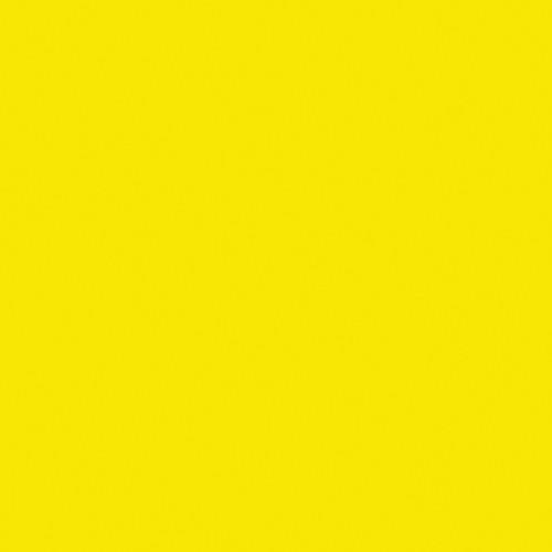 Rosco Fluorescent Lighting Sleeve Tube Guard