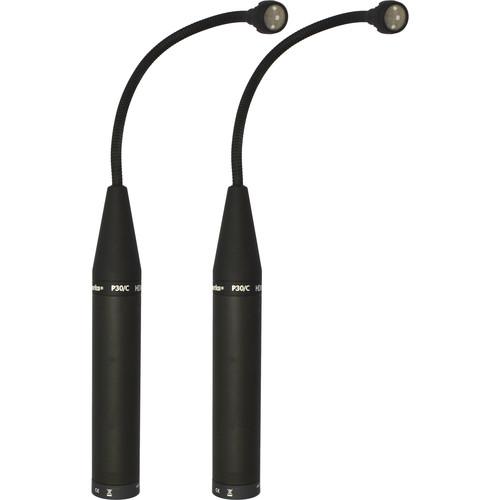 Earthworks Matched Pair P30 Periscope Cardioid Instrument Microphone