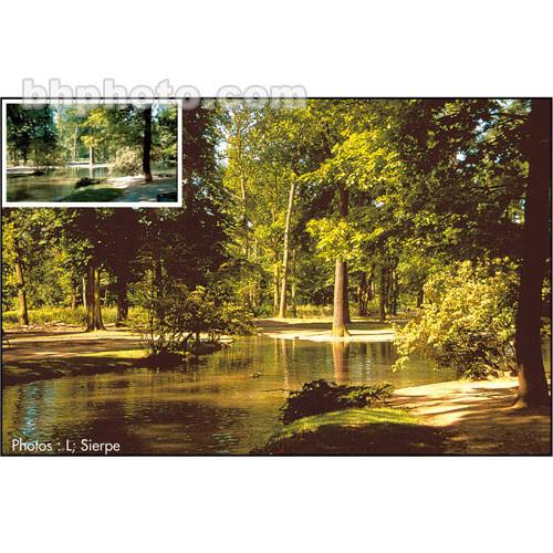 Cokin Z-Pro Series 81EF Light Balancing Filter