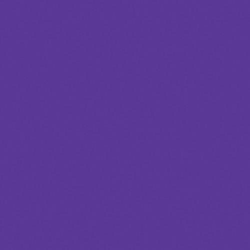 Rosco Fluorescent Lighting Sleeve Tube Guard