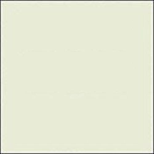 Rosco E-Colour #E278 1 8 Plus Green Fluorescent Lighting Sleeve Tube Guard