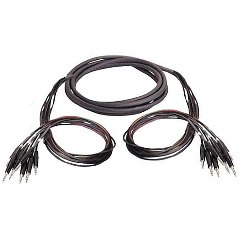 Whirlwind 8 Channel 1 4" TRS Male to 1 4" TRS Male Snake Cable - 15