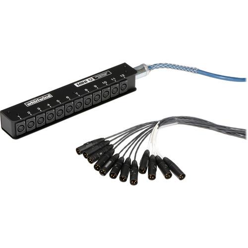 Whirlwind Medusa Mini Series 12 Channel Stagebox to Fanout Snake - 25