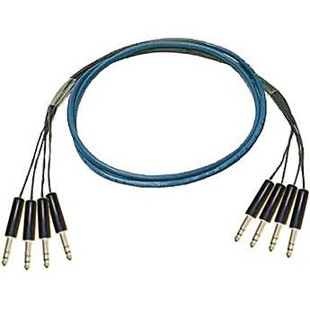 Whirlwind Medusa Multitrack Series Snake - 4 TRS Male Fan to 4 TRS Male Fan 10