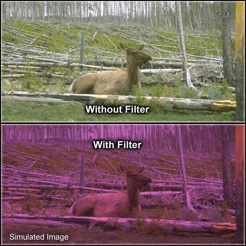 Formatt Hitech 105mm Solid Plum 2 Filter