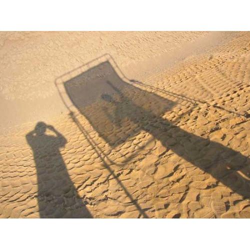 Sunbounce Sun-Swatter Big Translucent -3 3 Diffuser Screen