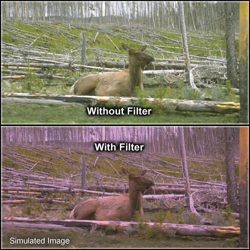 Formatt Hitech 105mm Solid Plum 1 Filter