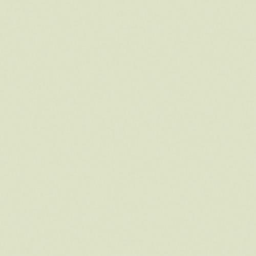 LEE Filters 1 4 Plus Green Filter