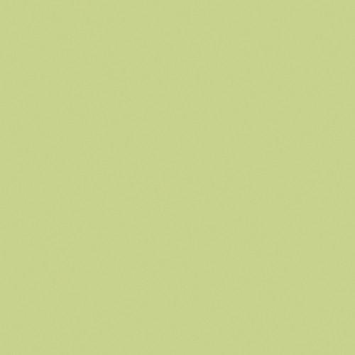 LEE Filters Full Plus Green Filter