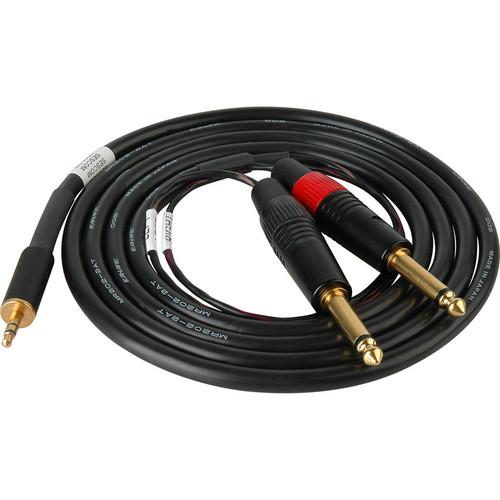 Sescom SES-IPOD-QTRM06 3.5mm Stereo to Dual 1 4" Mono Audio Cable