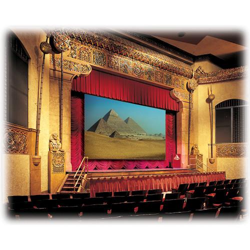 Draper 114230 Paragon Series E Motorized Projection Screen