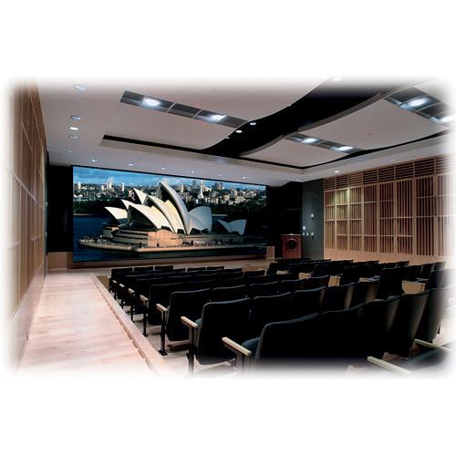 Draper 114616 Paragon Series V Motorized Projection Screen