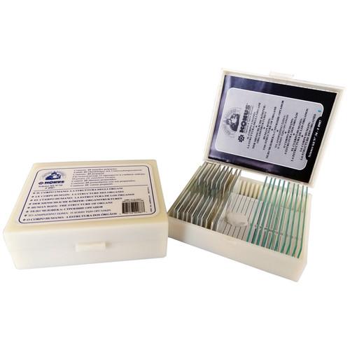 Konus #4987 Biology 2 Slide Set: Human Organ Structures