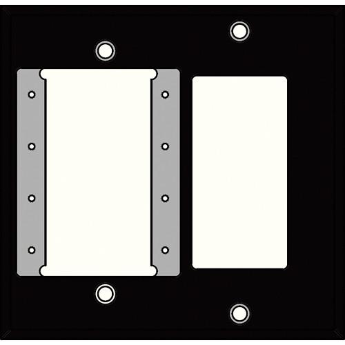 FSR IPSPWP2D-BLK 2 Gang Wall Plate