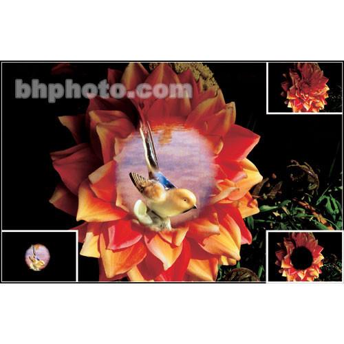 Cokin A342 Double Mask 1 Resin Filter