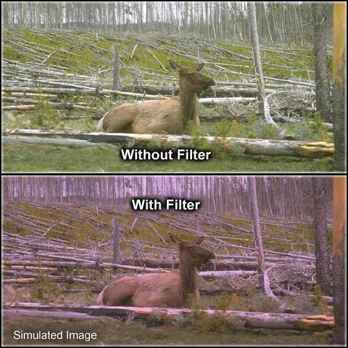 Formatt Hitech Solid Plum Filter