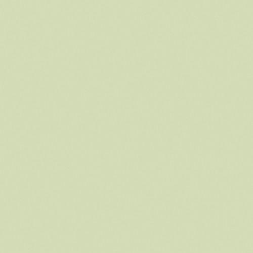 LEE Filters 1 2 Plus Green Filter