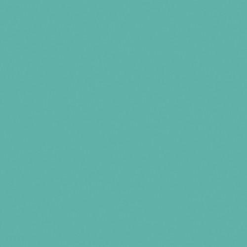 LEE Filters 4300 Fluorescent Conversion Filter