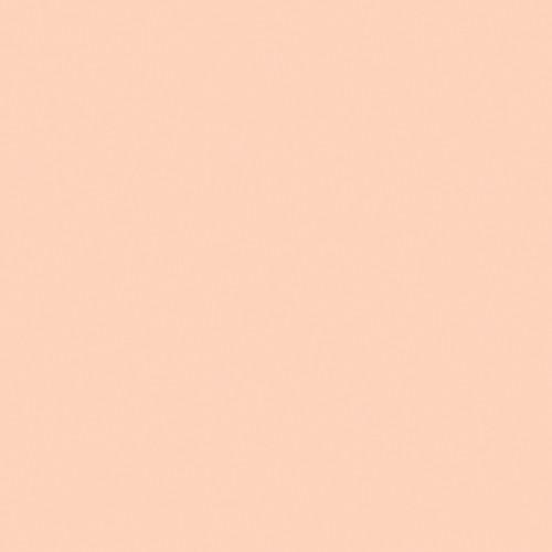 LEE Filters Bastard Amber Color Effects Filter - 48" x 25