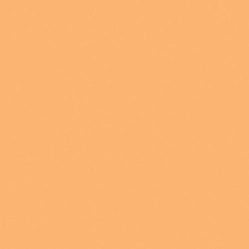 LEE Filters Full CTO Daylight Conversion Filter