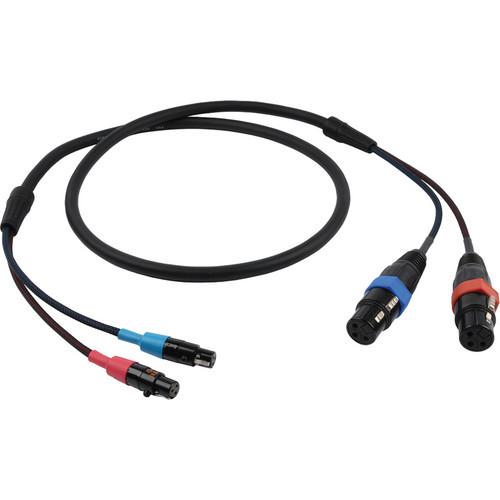 Remote Audio CA744INL Dual XLR to Dual TA3 Channel 3 4 Input Cable for 744T
