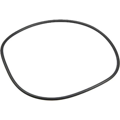 Ikelite 013423 O-Ring for PCm Lite