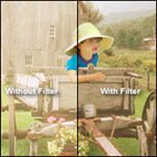 Kodak 4 x 4" Carbon Neutral Density 0.5 Wratten 2 Gel Filter
