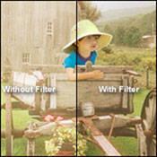 Kodak 4 x 12" Neutral Density #96 0.40 Optical Gelatin Wratten Filter