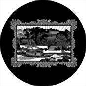 Rosco Riverboat Pagoda Standard Steel Gobo #78542 Size