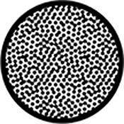 Rosco Standard Black and White Glass Spectrum Gobo #81128 Connect Dots