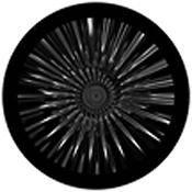 Rosco Standard Black and White Glass Spectrum Gobo #81154 Mercury