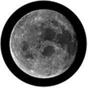 Rosco Standard Black and White Glass Spectrum Gobo #81174 Full