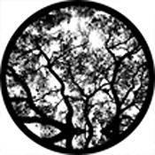 Rosco Standard Black and White Glass Spectrum Gobo #81177 Skyward