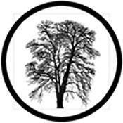 Rosco Standard Black and White Glass Spectrum Gobo #81178 Barren