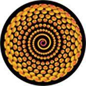 Rosco Standard Color Glass Spectrum Gobo #86644 Spiral Bling