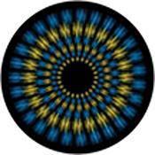 Rosco Standard Color Glass Spectrum Gobo #86651 Flower Focus