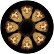 Rosco Standard Color Glass Spectrum Gobo #86663 Infinite Buddha