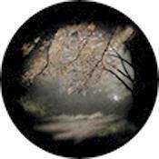 Rosco Standard Color Glass Spectrum Gobo #86703 Autumn Glade