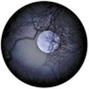 Rosco Standard Color Glass Spectrum Gobo #86711 Hiding Moon