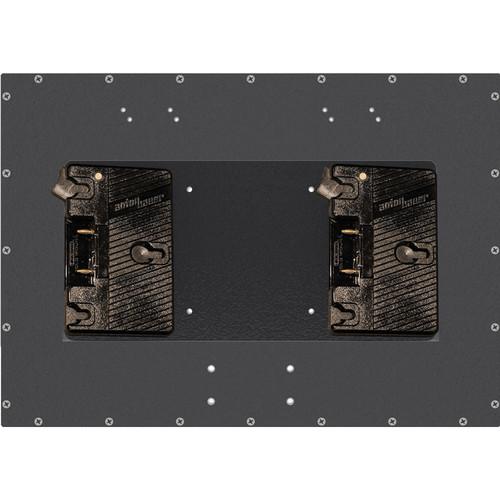 DIT MMR-BM.AB2 Dual Anton Bauer Gold Mount