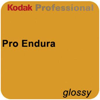 Kodak PROFESSIONAL ENDURA Premier Metallic Photo Paper