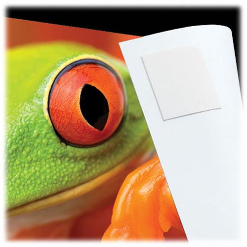 Lineco Infinity 0.5" Photo Tabs 230 Per Package