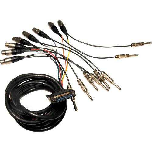 Whirlwind Connect DB25 to 8x 1 4" TRS Male Cable