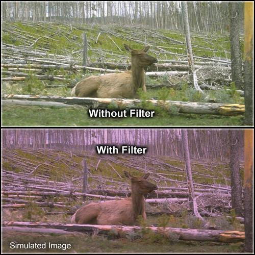 Formatt Hitech 95mm Solid Plum 1 Filter