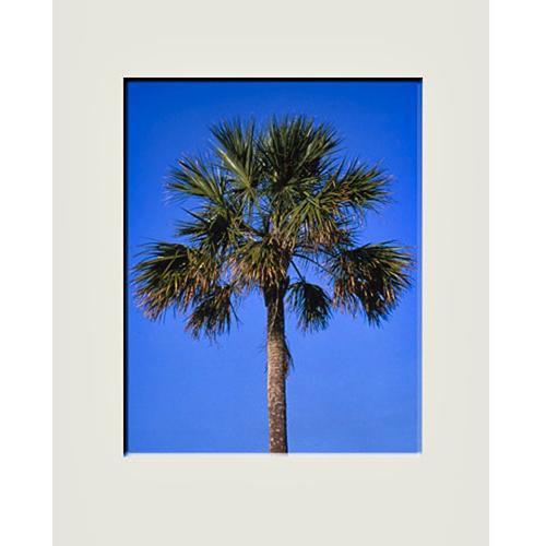 Nielsen & Bainbridge Mat - 11x14" with 8x10" Opening, Antique White with Bevel - Center Format