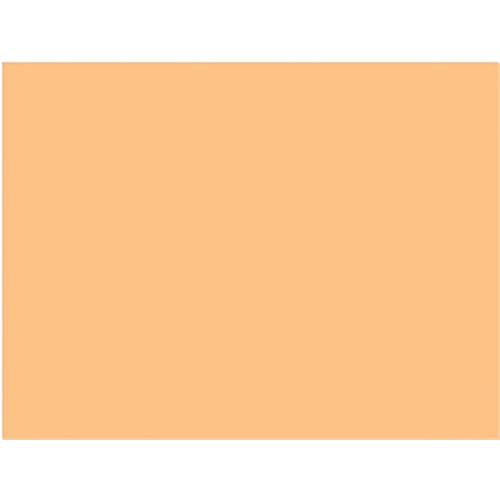 Rosco Cinegel Filter #3408 RoscoSun 1 2 CTO